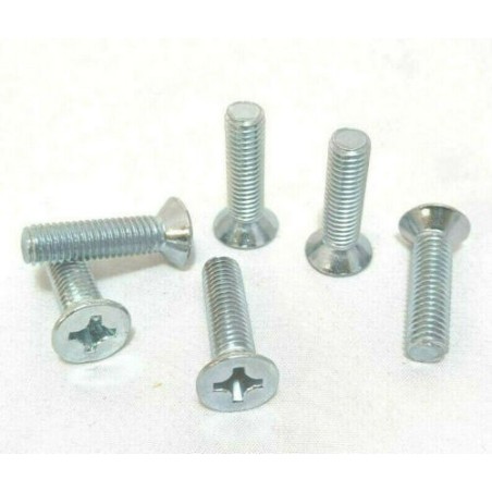 6 Vite Adattabili per Fissaggio Cerniera Porta FIAT 126 124 127 8x1,25x25mm