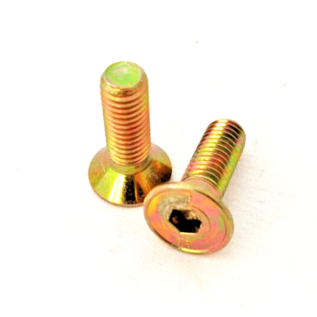 2 Viti Svasate per Bronzina Banco Anteriore Blocco Motore FIAT 500 e 126