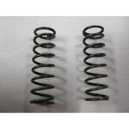 Molla per Semiasse Grosso