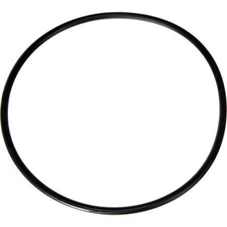 Guarnizione OR Oring 987112 Anello di Tenuta Filtro Centrifugo per FIAT 126 500