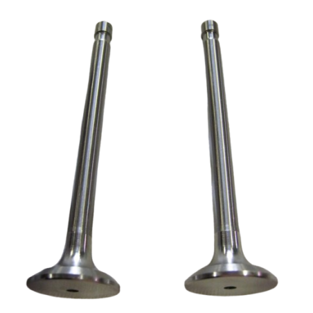 2 pezzi - Valvola Aspirazione Motore da 650cc per FIAT 500 e FIAT 126