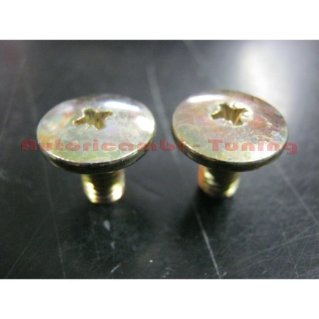 2 Viti per Fissaggio Guida Posteriore del vetro Scendente FIAT 500 F L R