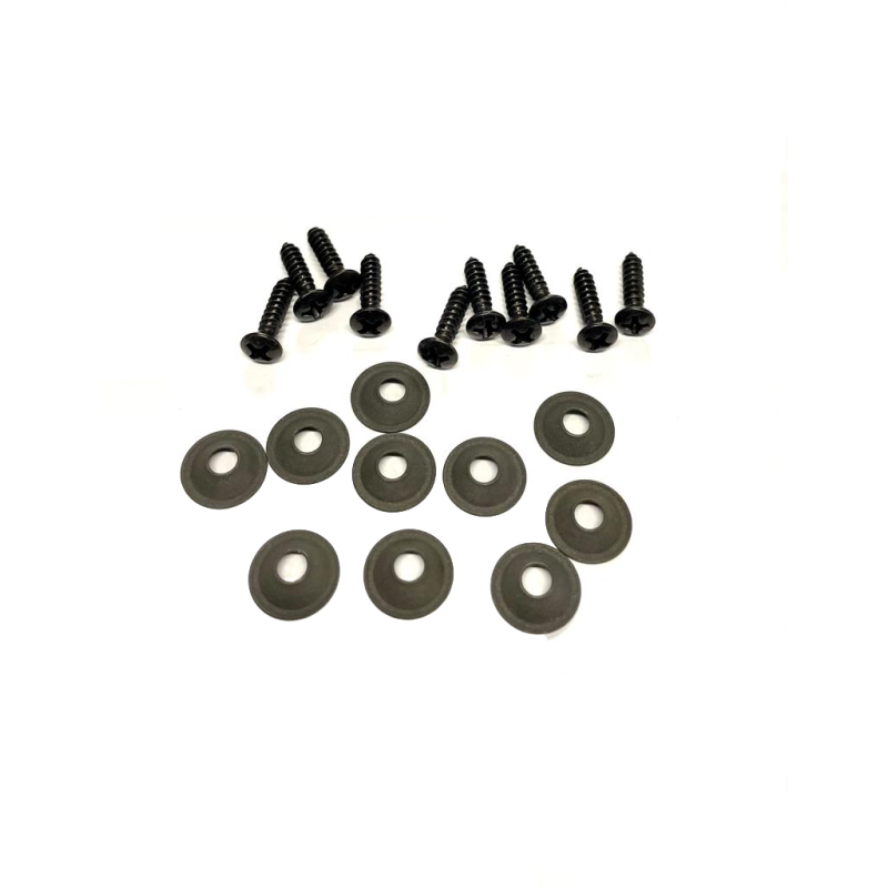 Kit 10 Viti + 10 Sottovite per Moquette Fiat 500