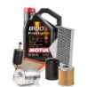 Kit Tagliando Auto 4 Filtri + 5 Litri Olio Motul 8100 5W40 ACEA A3 B4