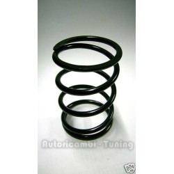 Molla Mollone Supporto Sostegno Motore per FIAT 500 N D F L