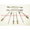 Rivetto per Fissaggio Supporto Galletto Deflettore FIAT 500 D F L R - 10 pezzi