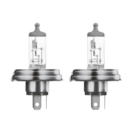 2 Lampade Asimetriche Alogene Bosch R2 45/40W 12V Fiat 500 126 127 Auto Epoca